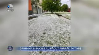 Grindina și ploile au făcut prăpăd &icirc;n Timiș
