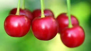 Moșii de vară 2022 sunt s&acirc;mbătă