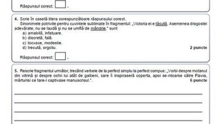 Subiecte Limba rom&acirc;nă Evaluarea Națională