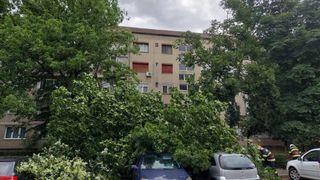  Furtuna de vineri după-amiază a lăsat pagube semnificative pe străzile din Oradea