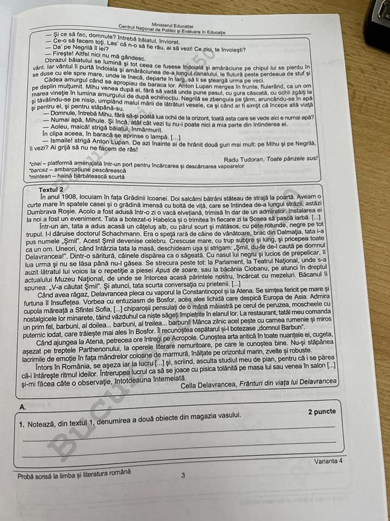 Subiecte Evaluare Națională 2022 Română EDU.RO. Ce subiecte au picat? Surpriză mare. Bareme de corectare pe EDU.RO