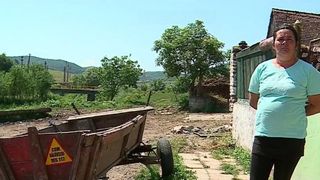 Femeie din județul Mureș, &icirc;mpușcată de un minor de 16 ani