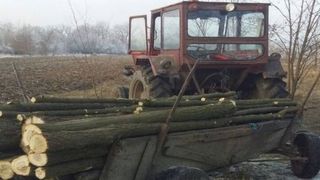 Percheziții &icirc;n Prahova, &icirc;ntr-un dosar de furt de lemne și șantaj