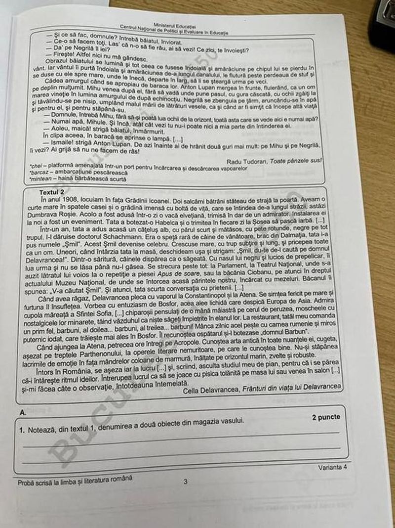 Evaluarea Națională 2022. Subiectele și baremul de corectare la Limba și Literatura Română