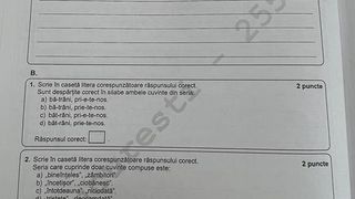 Evaluarea Națională 2022. Subiectele și baremul de corectare la Limba și Literatura Română