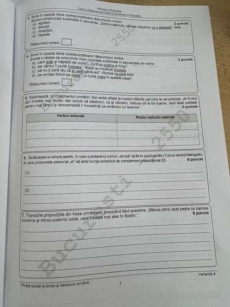 Evaluarea Națională 2022. Subiectele și baremul de corectare la Limba și Literatura Română