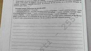 Evaluarea Națională 2022. Subiectele și baremul de corectare la Limba și Literatura Română