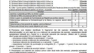 Evaluarea Națională 2022. Subiectele și baremul de corectare EDU.RO la Limba și Literatura Română. Subiectul care le-a dat bătăi de cap