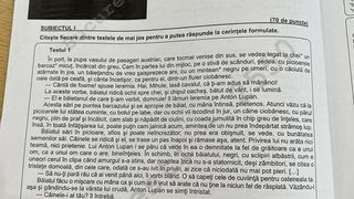 Evaluarea Națională 2022. Subiectele și baremul de corectare la Limba și Literatura Română