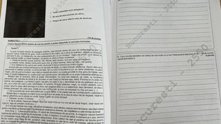 Barem Edu.ro Evaluare Națională 2022 Română. Subiectele care au picat și câte puncte primesc elevii pentru fiecare