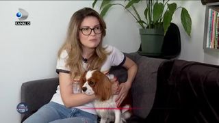 Vacanțe de lux pentru micii patrupezi