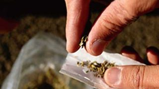 Droguri de circa 3 milioane de lei, ridicate de polițiștii din Republica Moldova