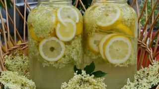 Rețeta delicioasă de socată. E perfectă pentru zilele călduroase de vară