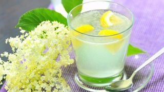 Rețeta delicioasă de socată. E perfectă pentru zilele călduroase de vară