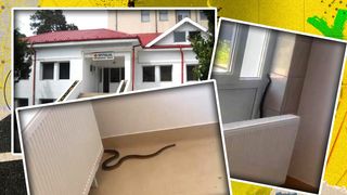 VIDEO - Șarpe de un metru filmat în spitalul din Balș