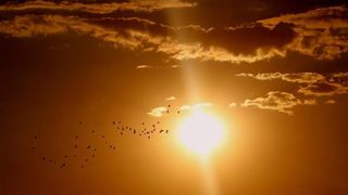 C&acirc;nd este solstițiul de vară 2022? Va fi cea mai lungă zi din an