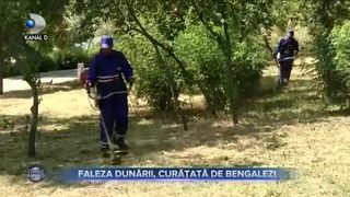 Faleza Dunării, curățată de bengalezi