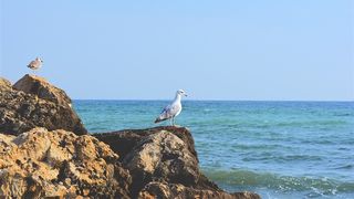 Trei stațiuni de la malul Mării Negre pe care ar trebui să le vizitezi în 2022