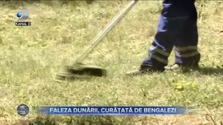 Faleza Dunării, curățată de bengalezi