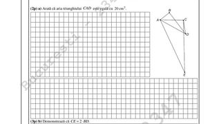 Barem Evaluarea Națională 2022 Matematică EDU.RO