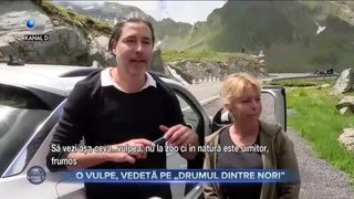 O vulpe, vedetă pe &bdquo;drumul dintre nori&rdquo;