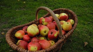 VIDEO - Muncitorii români migrează spre Vestul țării, pentru că sunt salariile mai mari