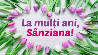 mesaje și urări de S&acirc;nziene