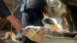 FOTO Povestea cutremurătoare a unei femei care locuiește în podul unei case de doi ani jumătate