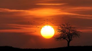 Solstițiul de vară 2022. Care sunt zodiile asupra cărora are o influență foarte mare?