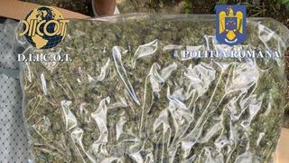 Un bărbat din Galați a fost prins în timp ce transporta un colet cu cannabis