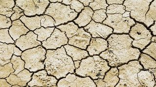 VIDEO - Din ce în ce mai mult teren deșertificat în România