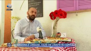 Grădinile urbane, oaze de liniște &icirc;n Capitală