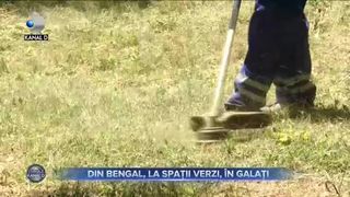 Faleza Dunării, curățată de bengalezi