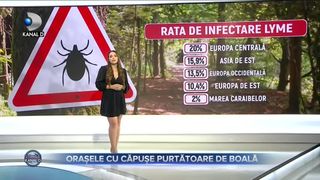 Orașele cu căpușe purtătoare de boală