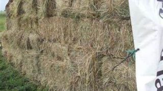 Un sucevean a sunat la poliție pentru că a uitat unde a pus baloții de fân