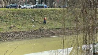 Descoperire șocantă la Timişoara! Cadavrul unui bărbat a fost găsit în râul Bega