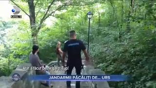 Jandarmii păcăliți de... urs
