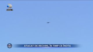 Atacat de rechini, în timp ce înota