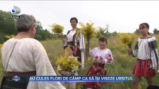 Au cules flori de c&acirc;mp ca să &icirc;și viseze ursitul