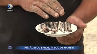 Păcăliți cu șprot, &icirc;n loc de hamsie