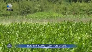 Respiră aer otrăvit cu steril
