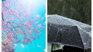 Anunț din partea meteorologilor. Cum va fi vremea în luna lui cuptor