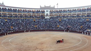 VIDEO - Tragedie în Columbia: Cel puţin patru morţi şi zeci de răniţi după prăbuşirea unei tribune într-o arenă