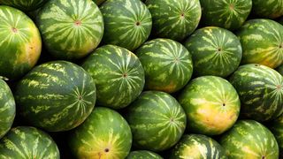 VIDEO - Pepenii de Dăbuleni ar putea deveni produs cu indicație geografică protejată/Ministerul Agriculturii întârzie procesul