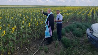 VIDEO - Apogeul secetei în zona Moldovei: zeci de culturi distruse și fântâni secate/Oamenii cheamă preotul să aducă ploaia