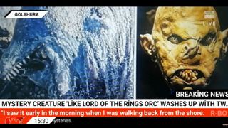 Descoperire terifiantă pe o plajă din Egipt. O creatura marină, cu colți și fără ochi i-a înspăimântat pe turiști