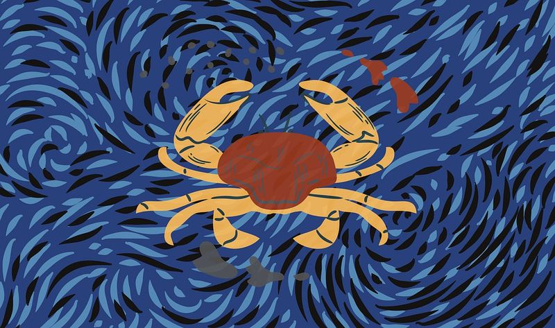 Horoscop 2 iulie 2022. Zodiile care încep un nou capitol în dragoste. Atenție, pot apărea conflicte!