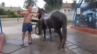 VIDEO | Imagini inedite: un bărbat &icirc;și spală calul la spălătoria auto: &bdquo;Dă-i cu jetul!&rdquo;
