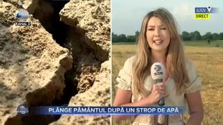 Pl&acirc;nge păm&acirc;ntul după un strop de apă