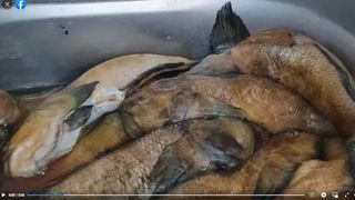 Pericol pentru turiști pe litoralul românesc. Ce au descoperit inspectorii de la Siguranța Alimentară